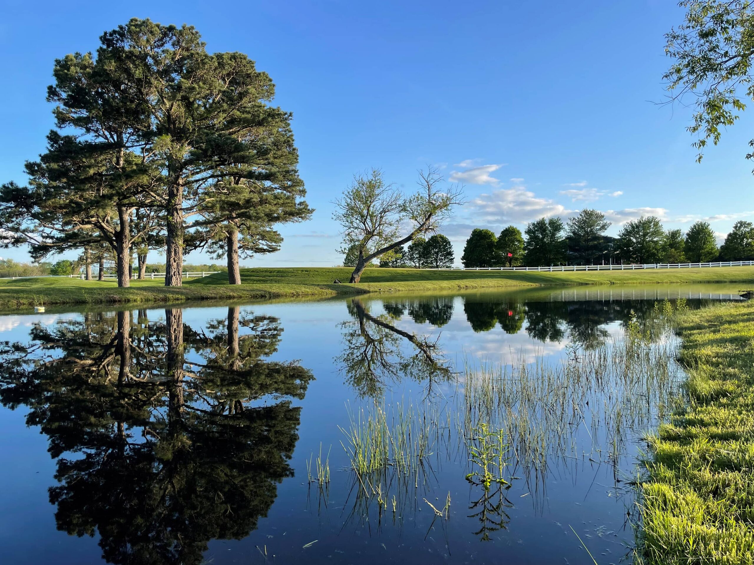 A serene pond reflecting trees and blue sky, surrounded by green grass and distant trees.